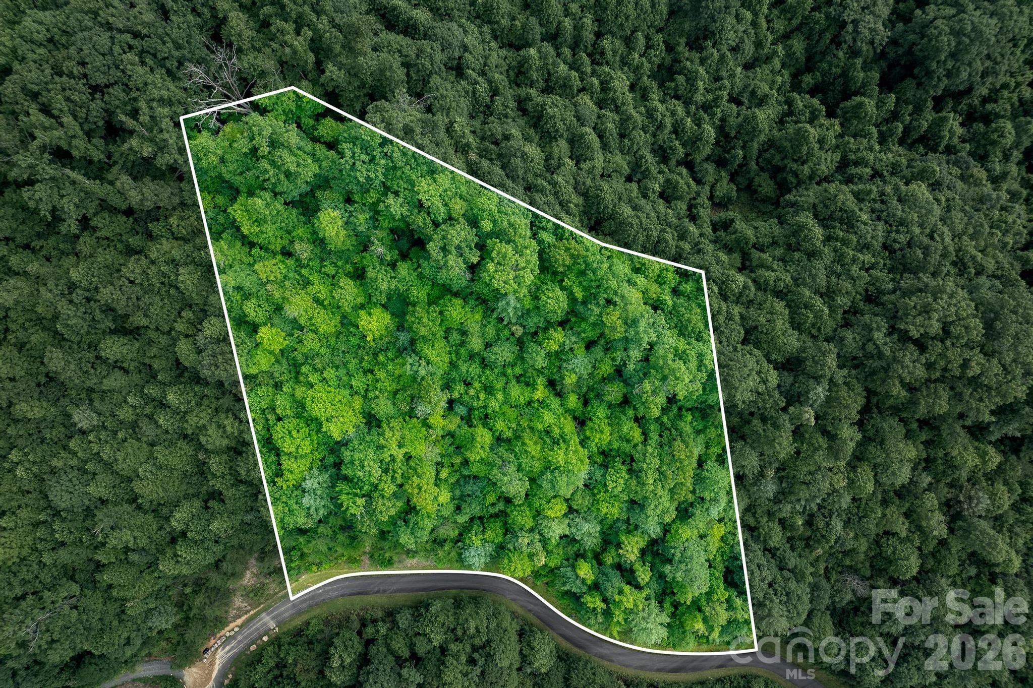 565 Pine Cone Trail