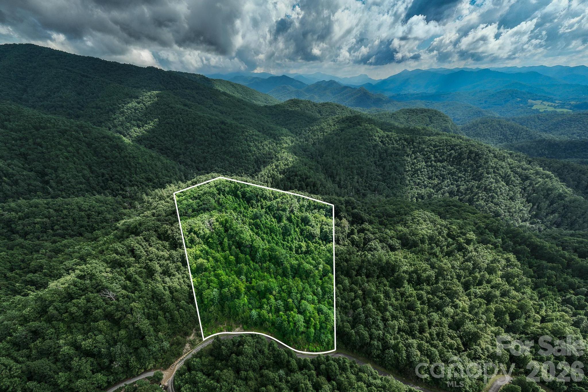 565 Pine Cone Trail