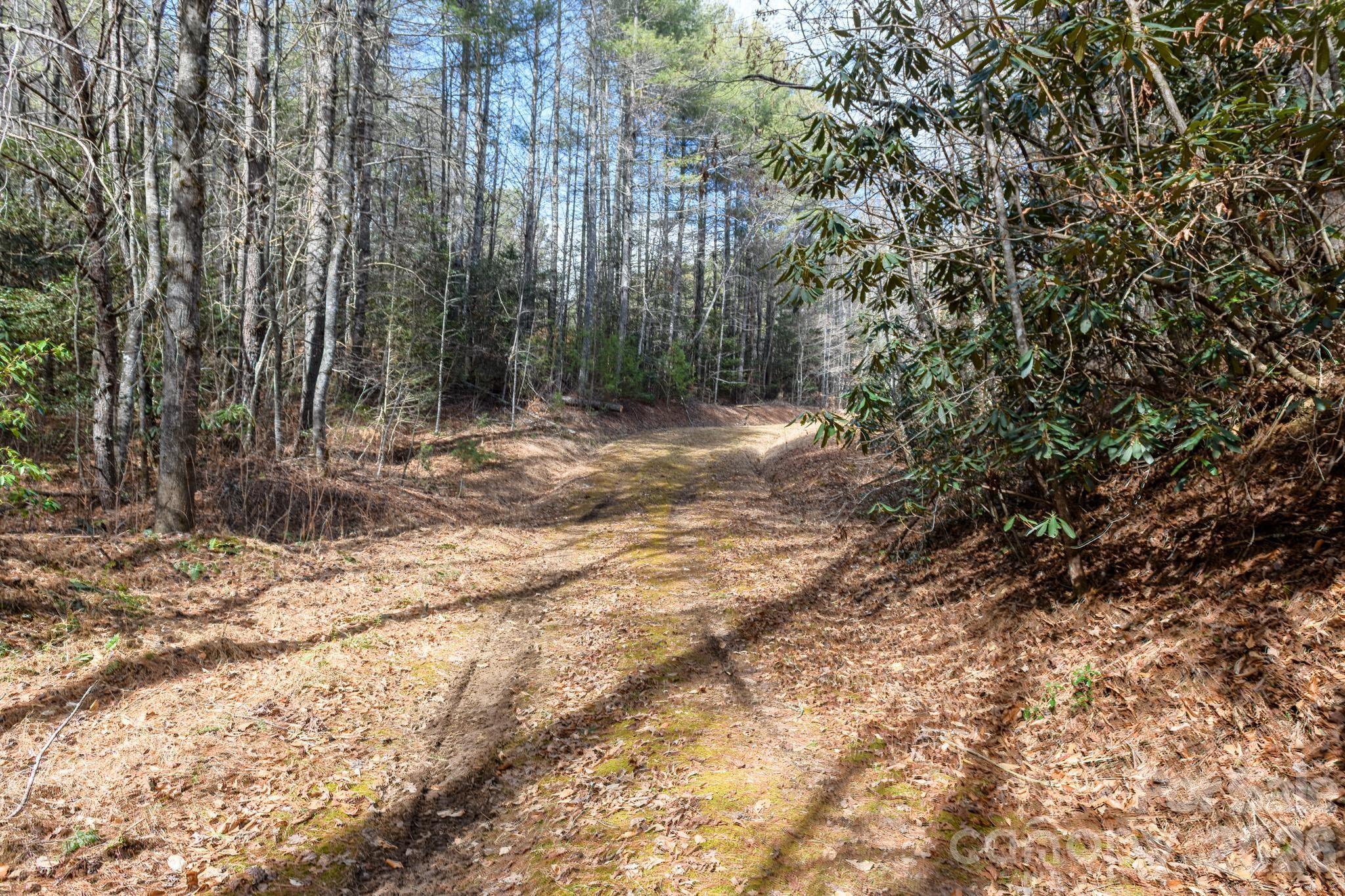 The Bluffs of Wilson Creek - Land
