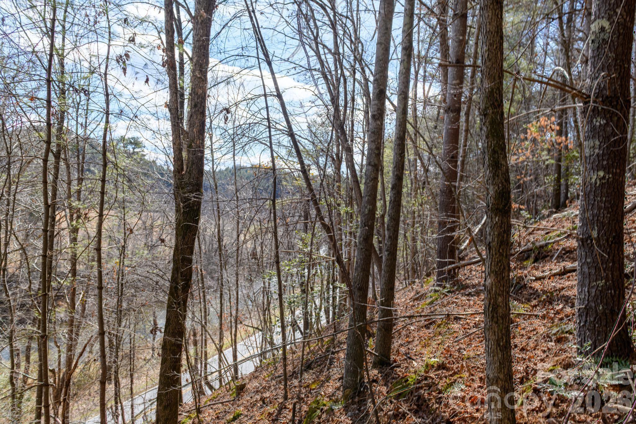 The Bluffs of Wilson Creek - Land