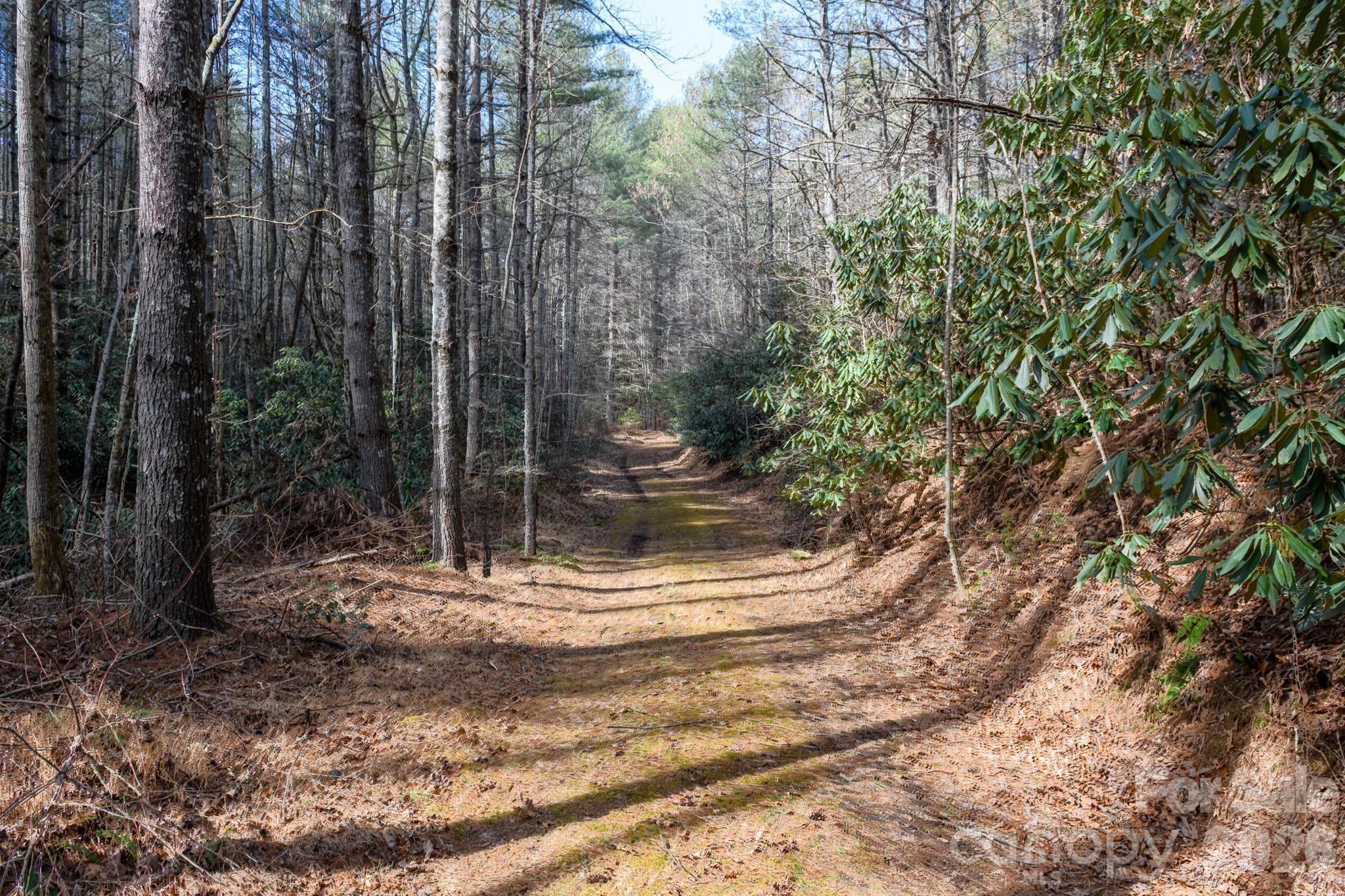 The Bluffs of Wilson Creek - Land