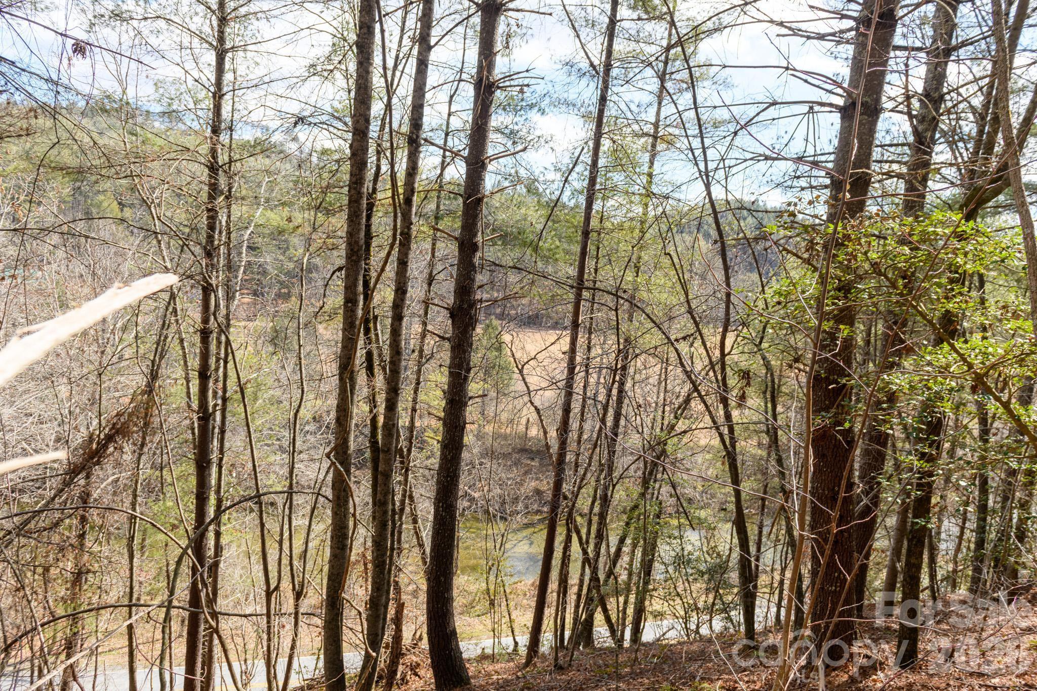 The Bluffs of Wilson Creek - Land