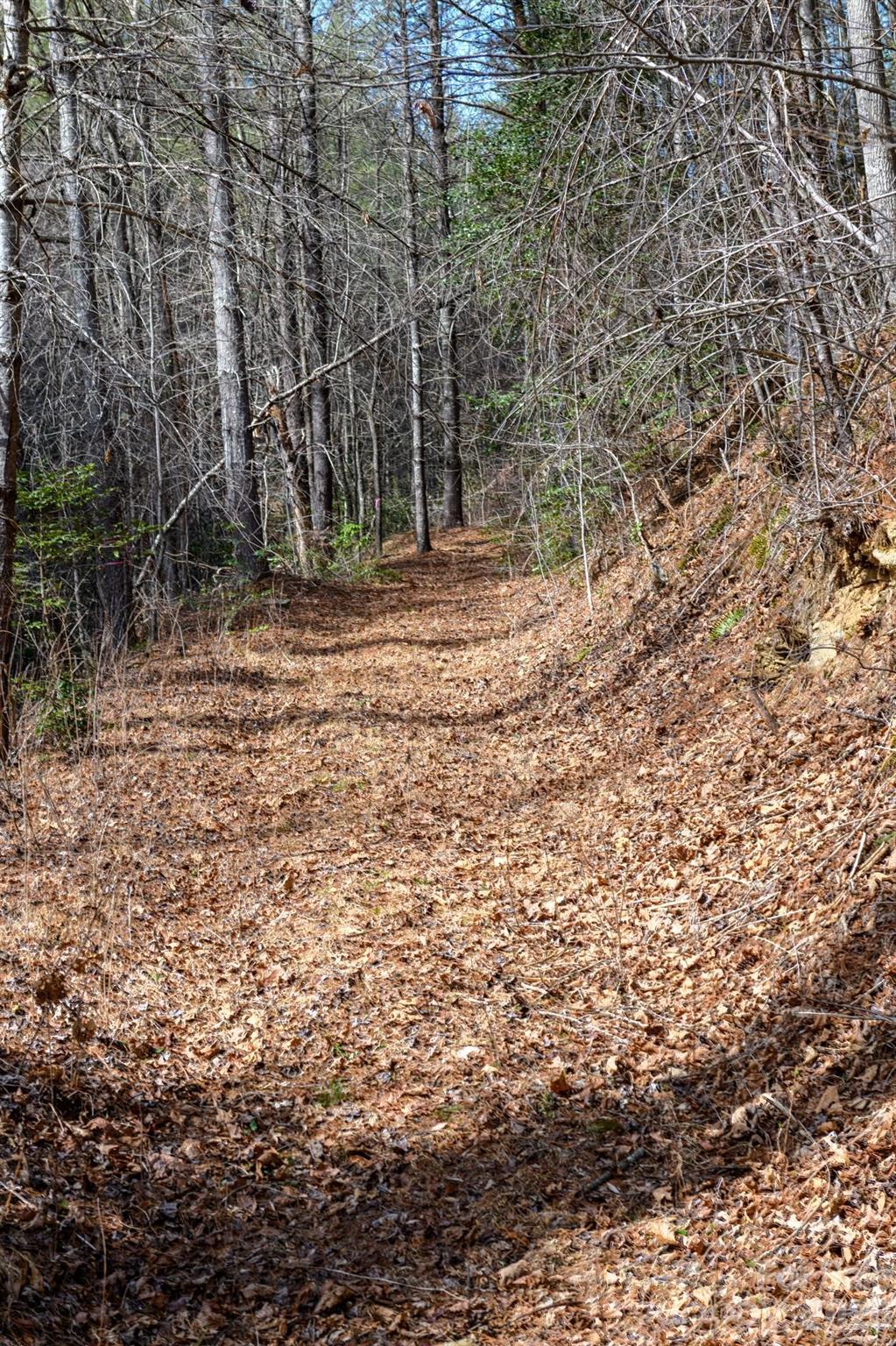 The Bluffs of Wilson Creek - Land