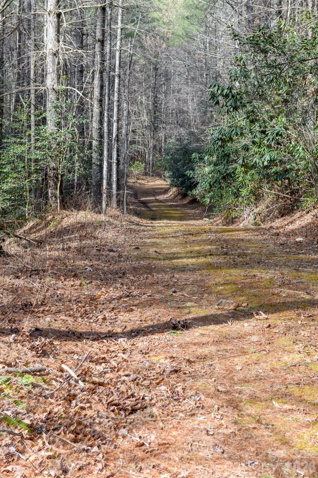 The Bluffs of Wilson Creek - Land