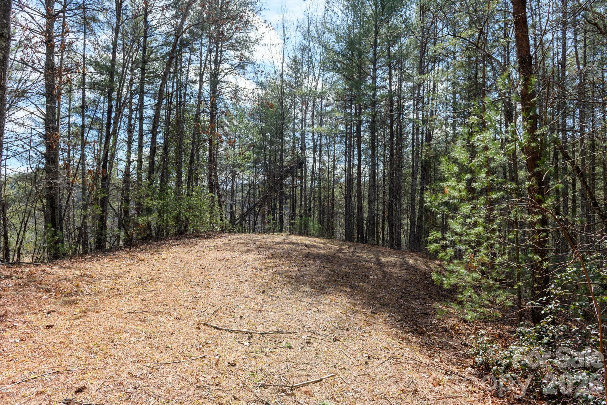 The Bluffs of Wilson Creek - Land