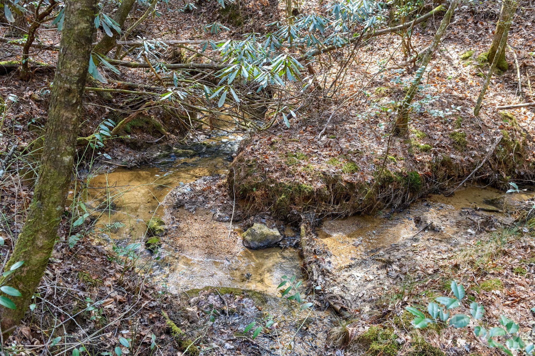 The Bluffs of Wilson Creek - Land