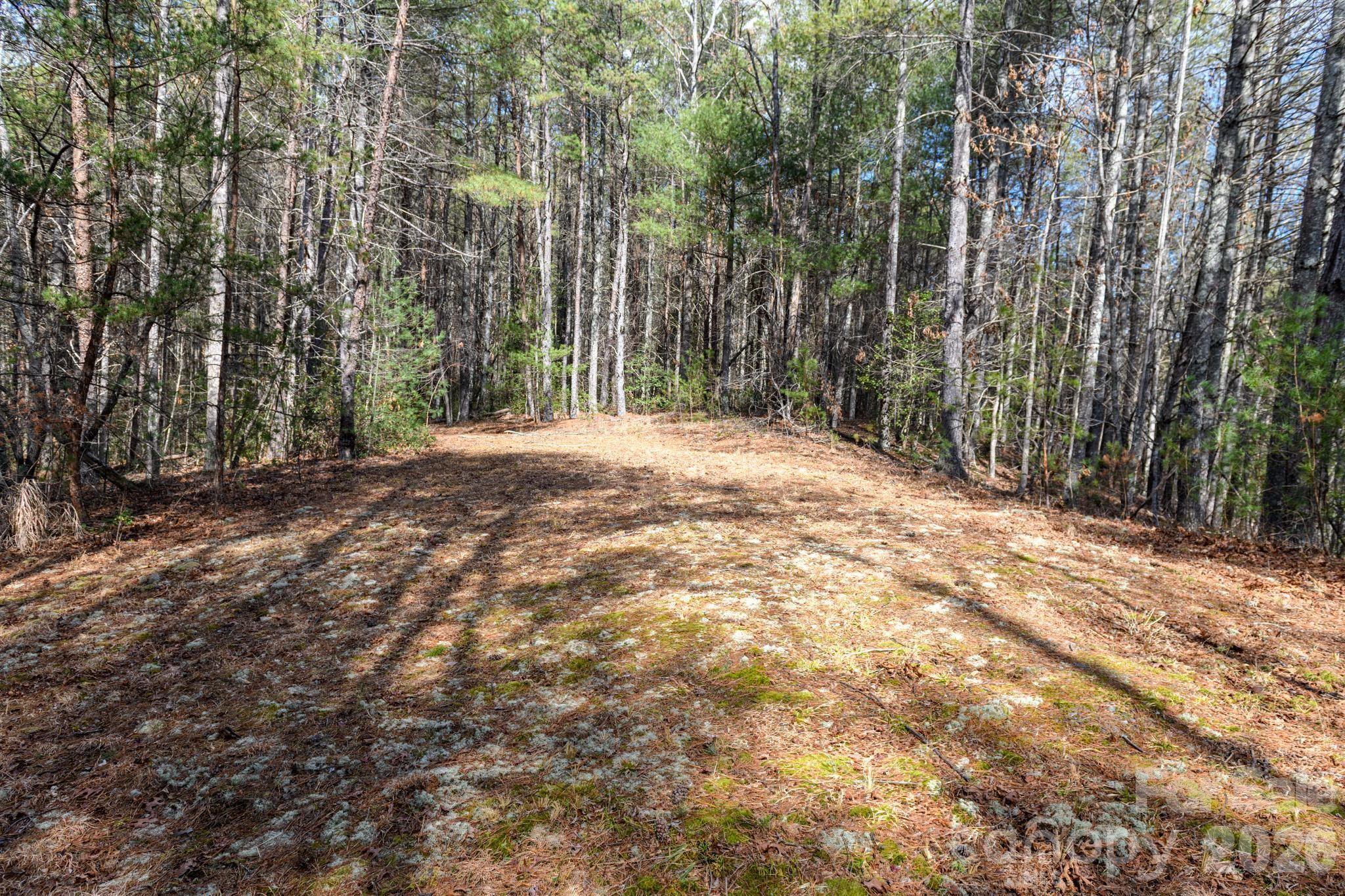 The Bluffs of Wilson Creek - Land
