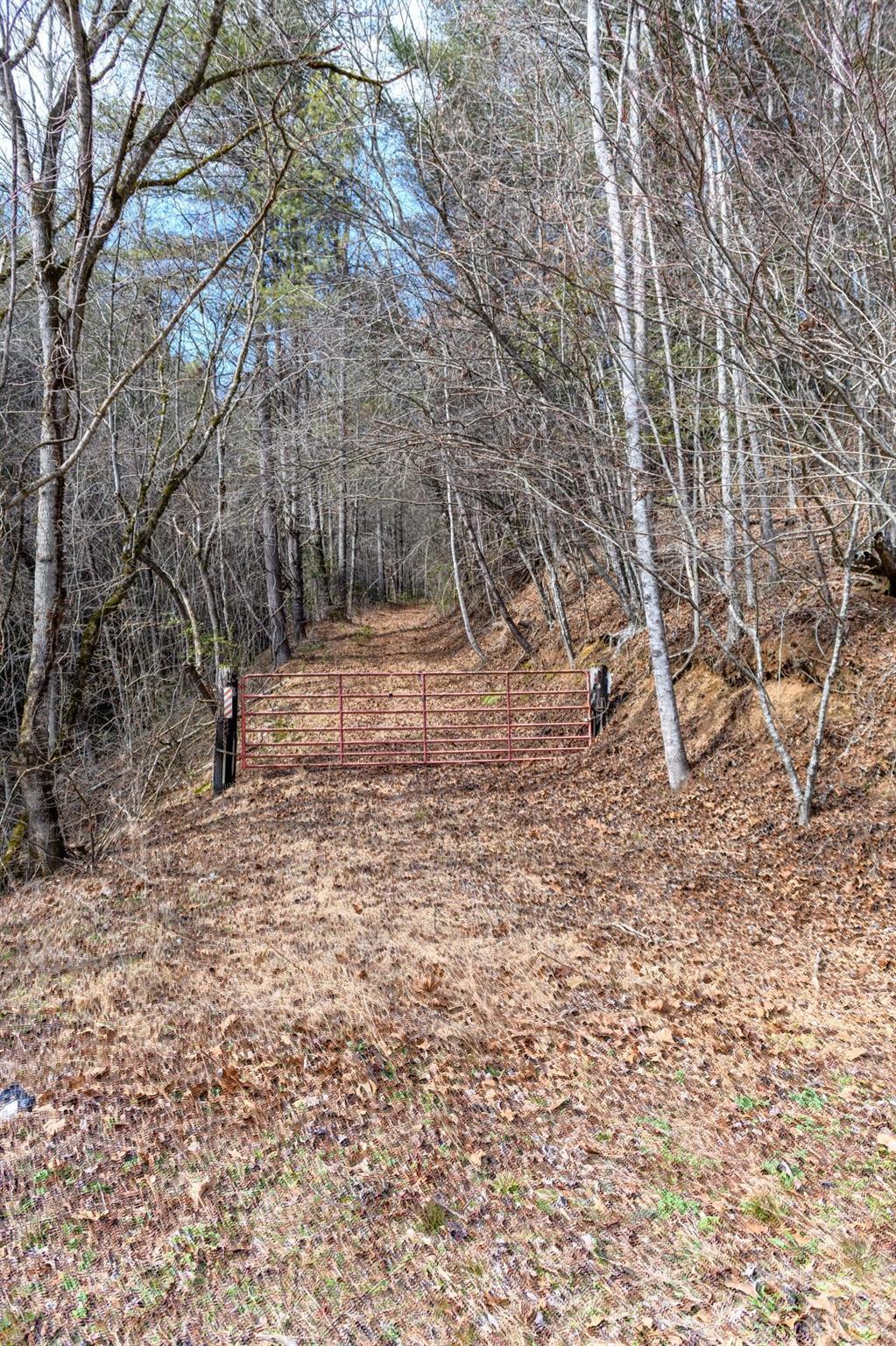 The Bluffs of Wilson Creek - Land