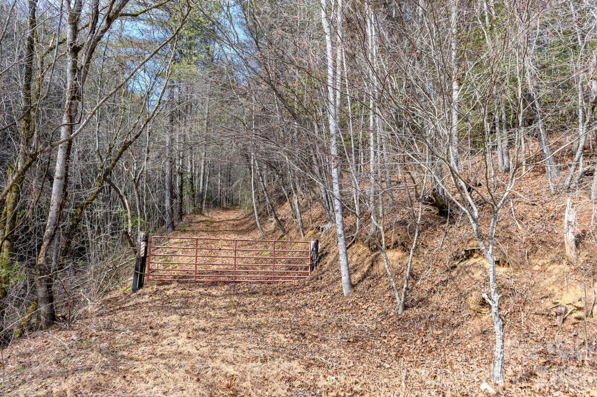 The Bluffs of Wilson Creek - Land