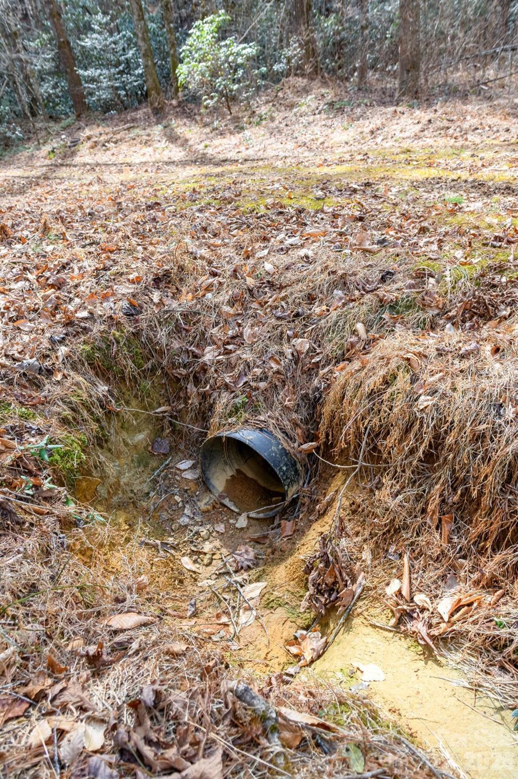 The Bluffs of Wilson Creek - Land
