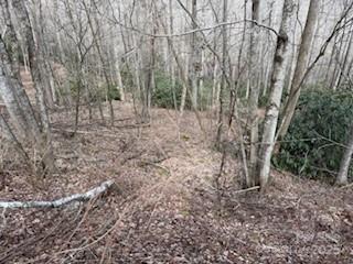 15 Wood Haven Lane 110