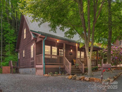 41 Trapper Lane Waynesville NC 28785