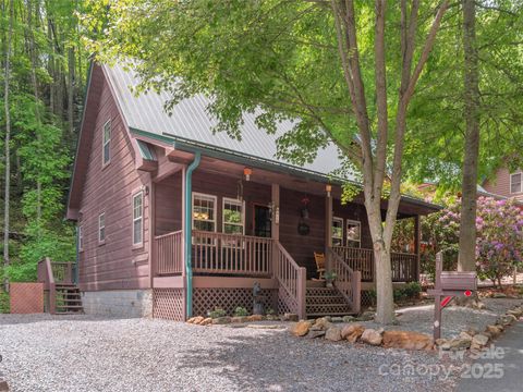 41 Trapper Lane Waynesville NC 28785