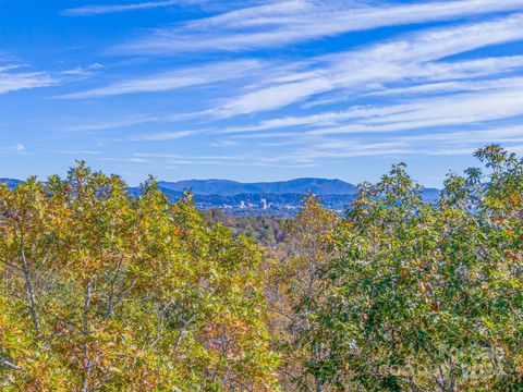 17 Denali Drive Asheville NC 28806