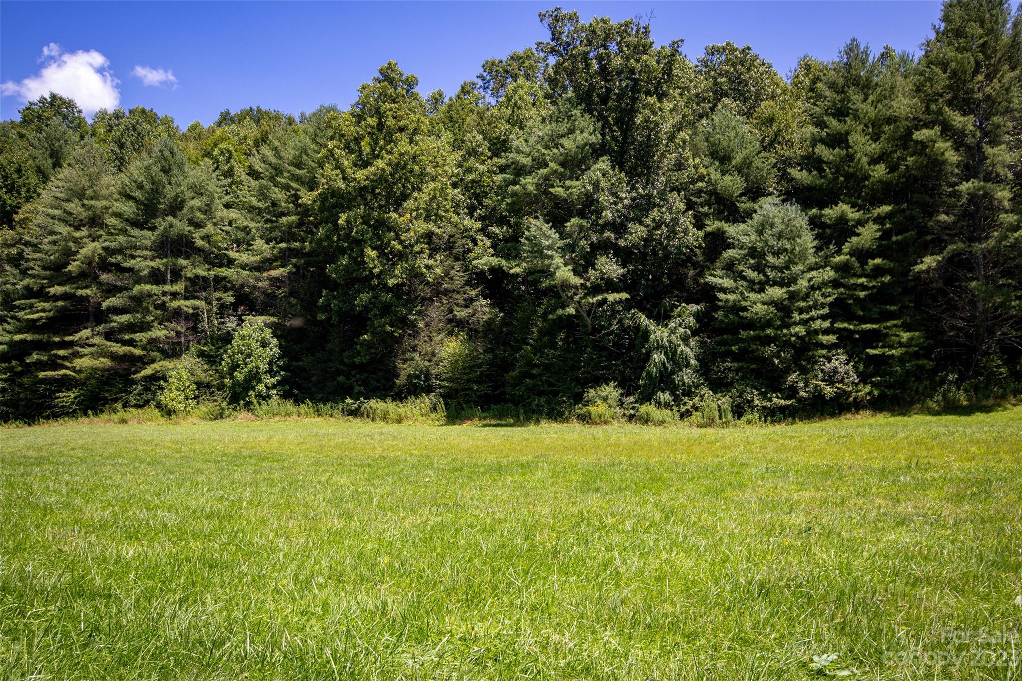 Lot# 564 Timber Rock Drive 564