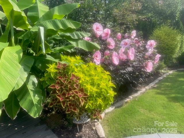 Carolina Orchards - Residential