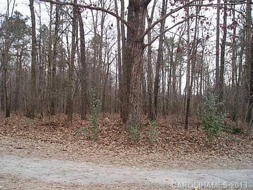 BELOW TAX VALUE!!  2nd Chance to grab this before it goes away.  Back on Market and better than ever.  Now Perked for 3 BR.    This property according to Union Co can support a single wide, double wide, modular, or stick built home.  Corners marked.  Private road.  Wooded.  Property on both sides of Eustace Richardson Road.  Come see today!