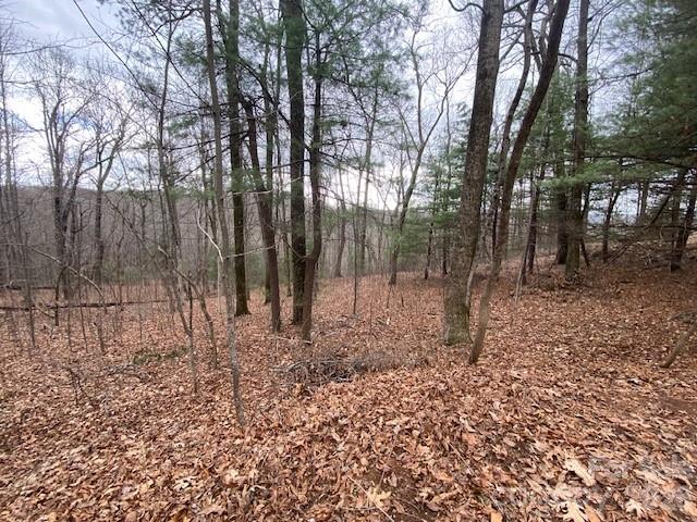 395 W Chestnut Ridges Road 14