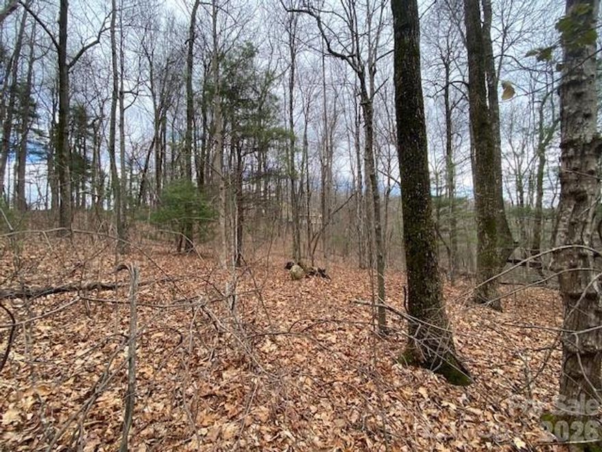 Set just moments from the North Carolina/South Carolina border, this homesite is tucked within a private, gated community in Henderson County, offering a true sense of space, quiet, and security. Surrounded by natural beauty, the setting feels open and peaceful—where fresh mountain air and privacy come effortlessly.



With potential for long-range mountain views, this property offers the opportunity to create a retreat that feels both secluded and expansive. A minimum build requirement of just 1,900 square feet allows for flexibility in design—whether you envision a more intimate mountain getaway or a full-time residence—while still maintaining the overall quality and character of the community.



The gated entrance provides an added sense of privacy and peace of mind, while still being conveniently located—approximately 20–25 minutes to Hendersonville, around 40–45 minutes to Asheville, and about 35–40 minutes to Greenville. Nearby hiking and mountain biking opportunities make it easy to enjoy the outdoors at a moment’s notice.



If you’ve been searching for a place to breathe, unwind, and feel removed from it all—without sacrificing access—this is it.