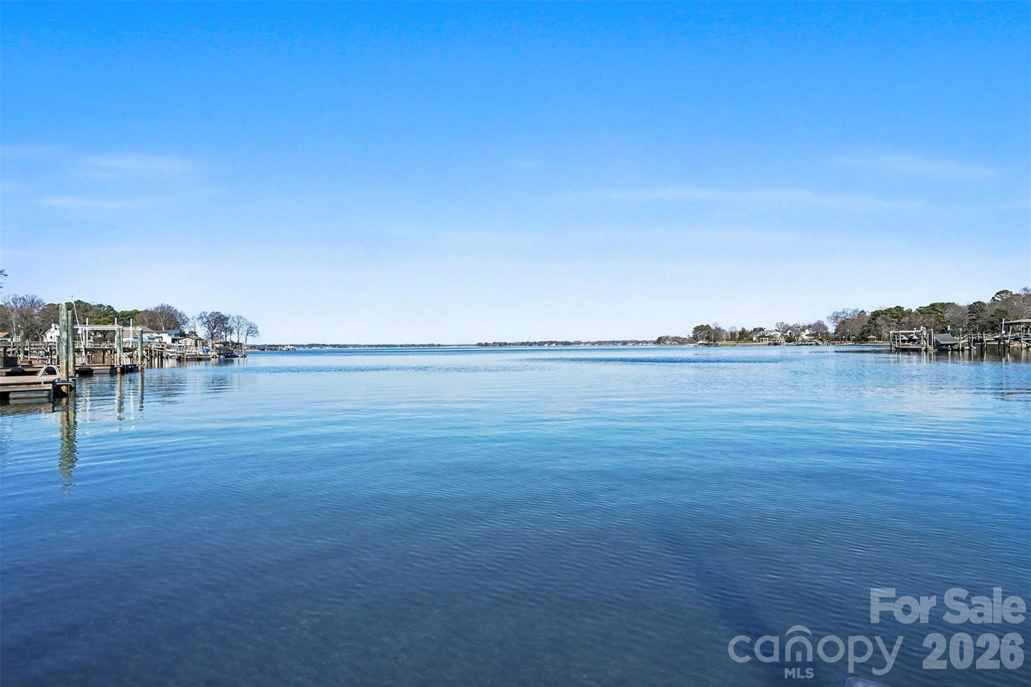 Island Forest - Residential