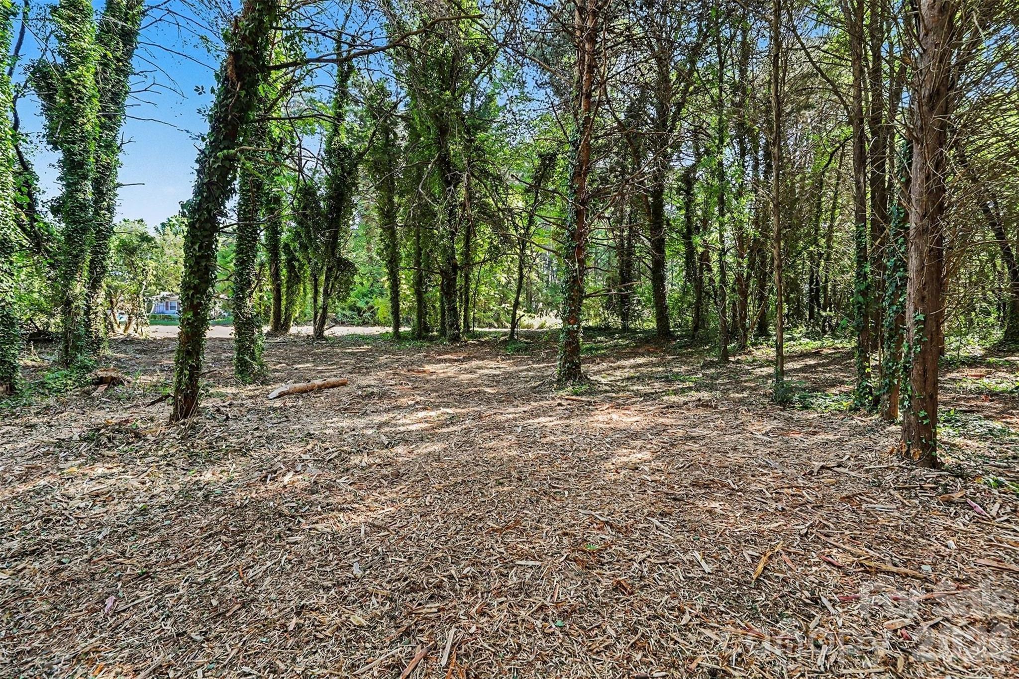 Bonanza Park - Land