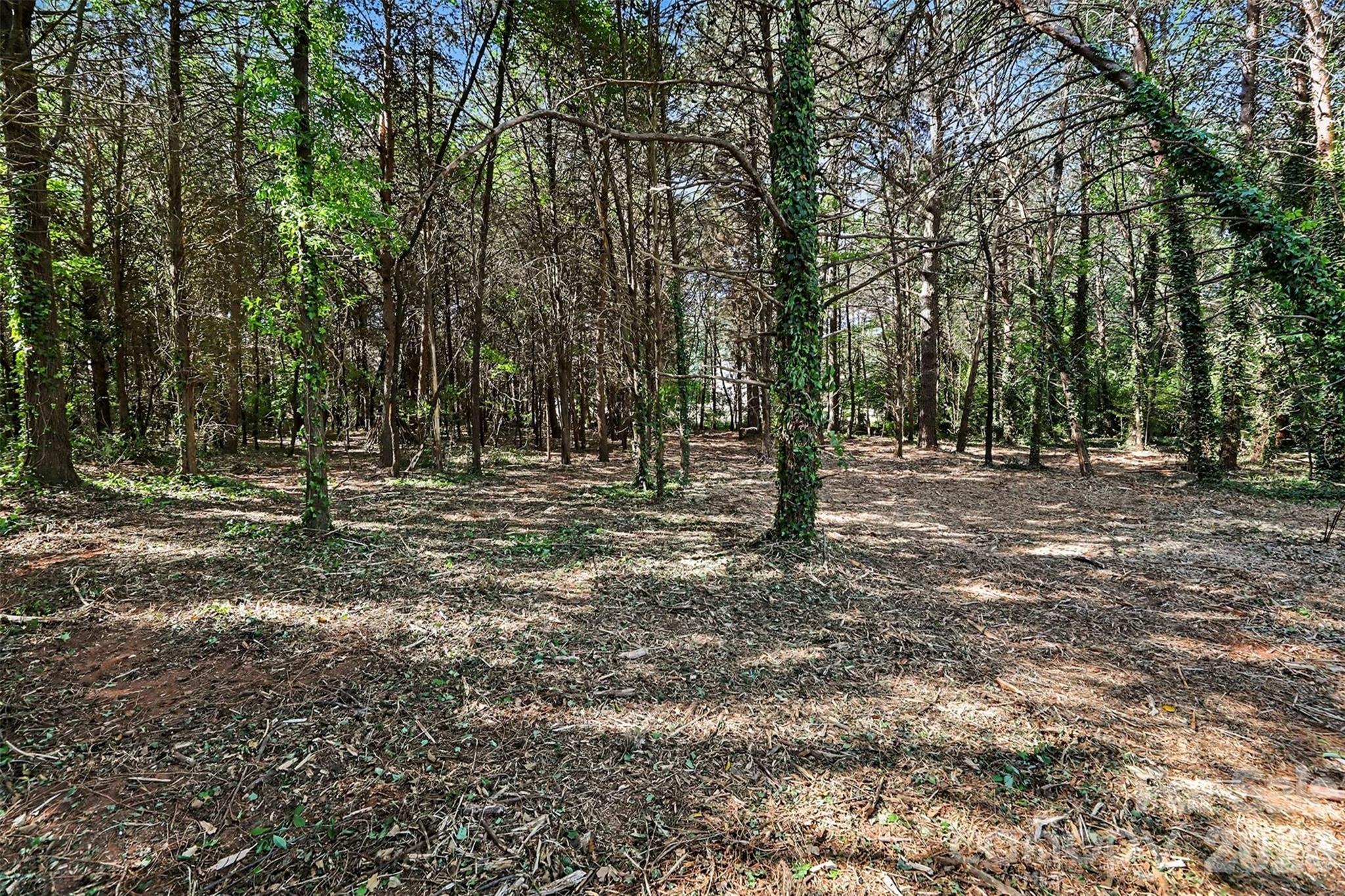 Bonanza Park - Land