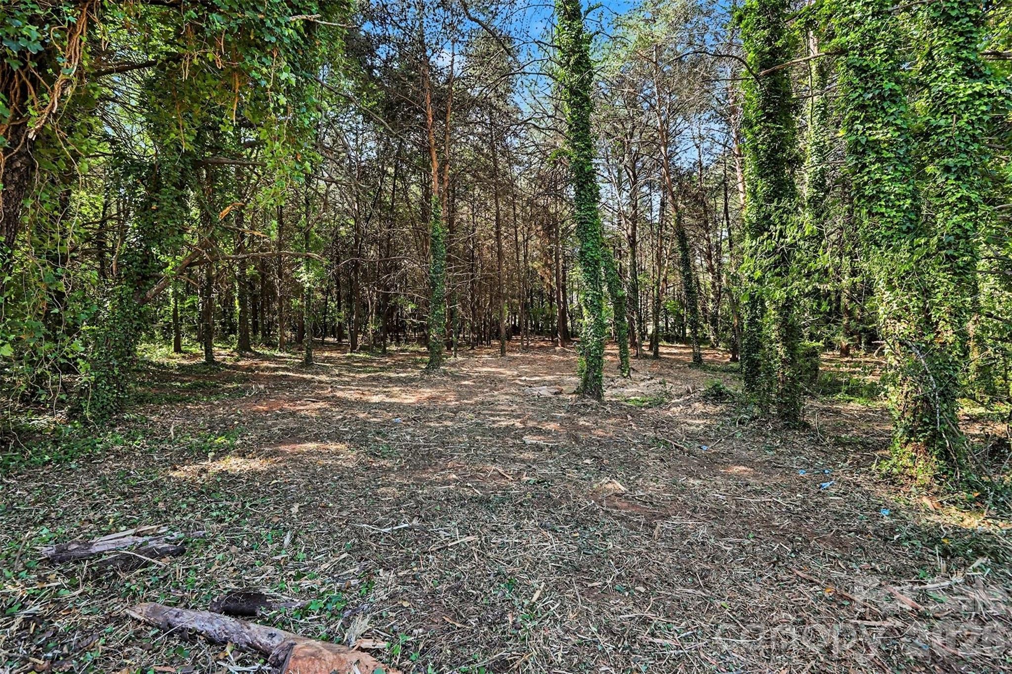 Bonanza Park - Land