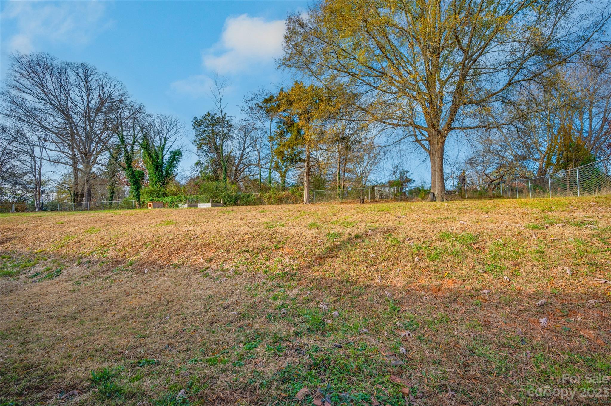 Dellwood - Residential