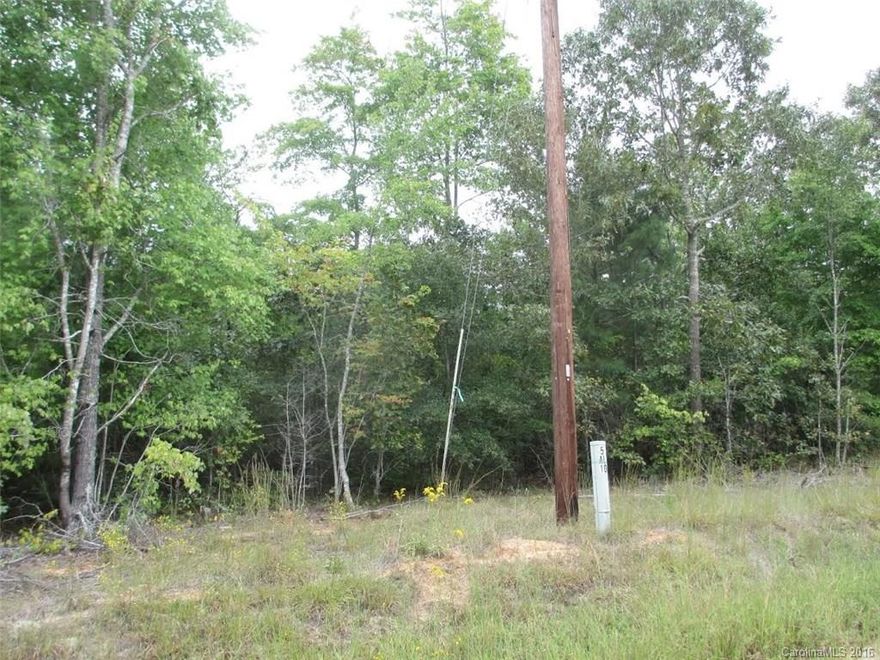 This wooded acreage is a portion of a 17.1 acre tract and will be subject to a buyer's new survey. Septic permit is required, has not been perked.