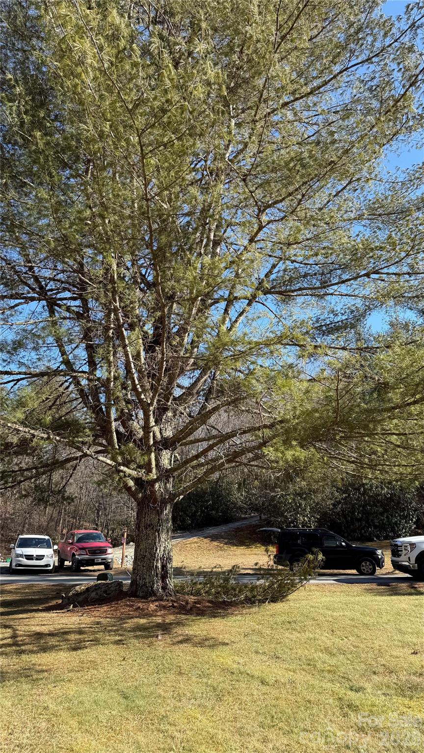 207 Receptive Drive 29