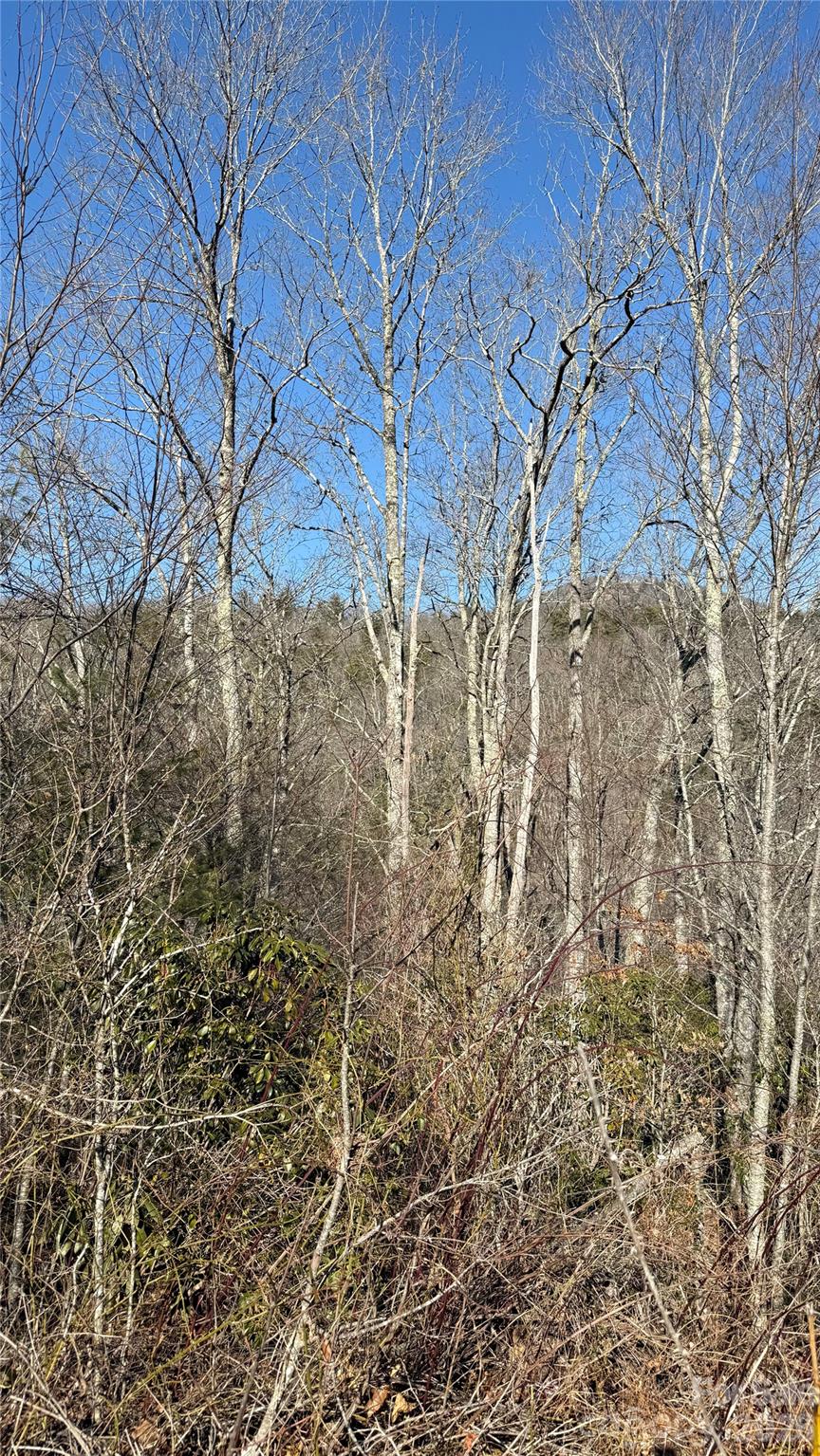 Cascades At Cedar Creek - Land