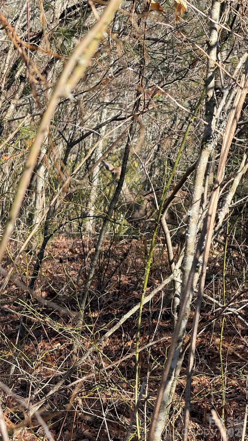 Cascades At Cedar Creek - Land