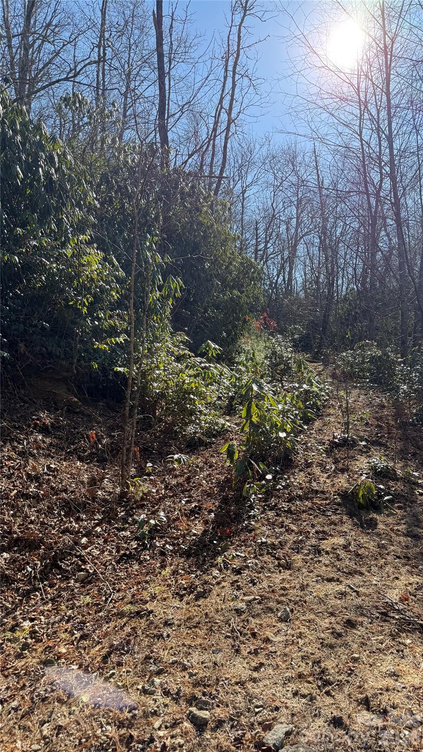 Cascades At Cedar Creek - Land