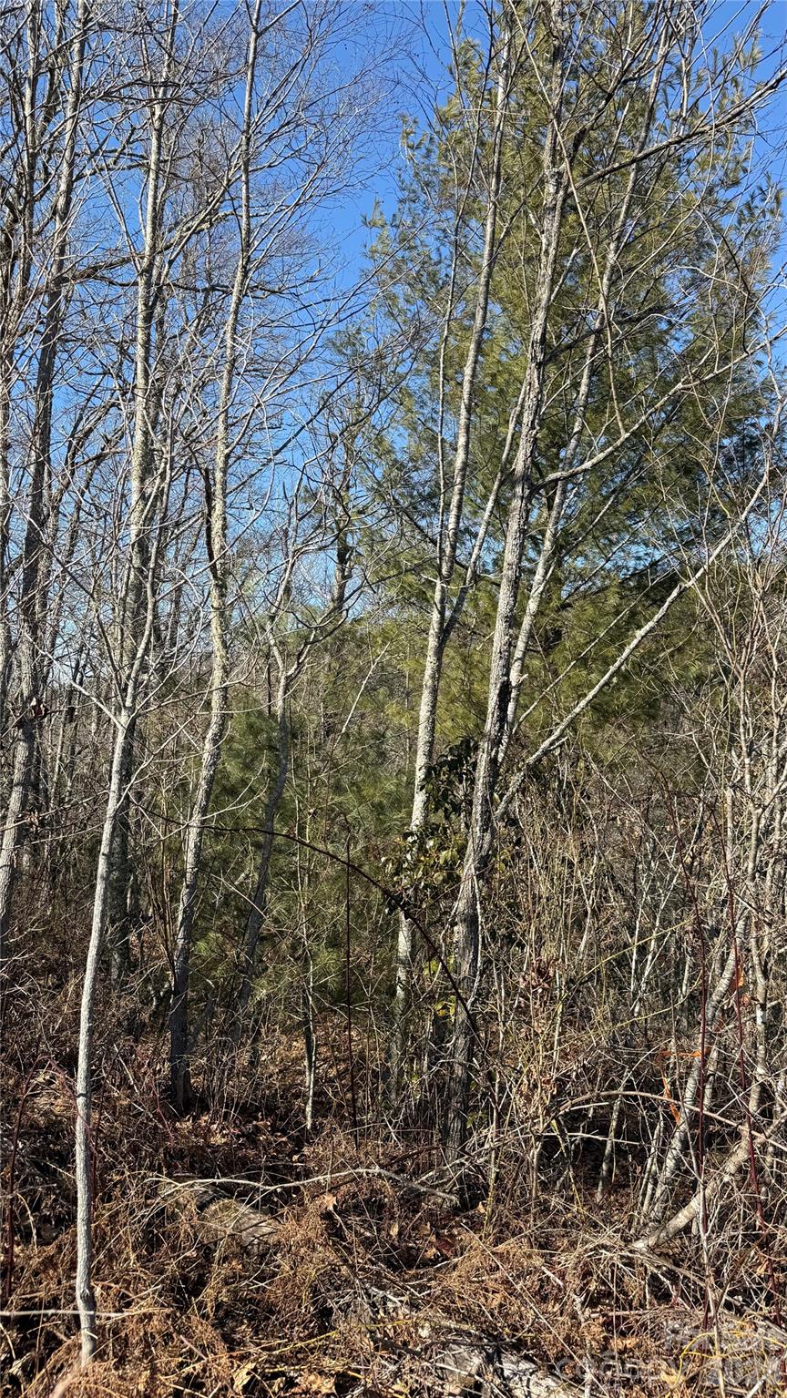 Cascades At Cedar Creek - Land