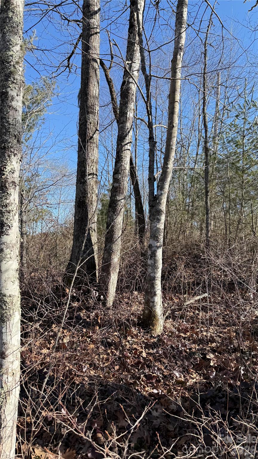 Cascades At Cedar Creek - Land