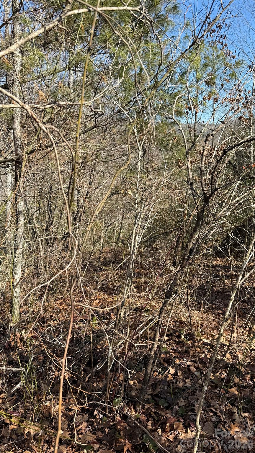 Cascades At Cedar Creek - Land