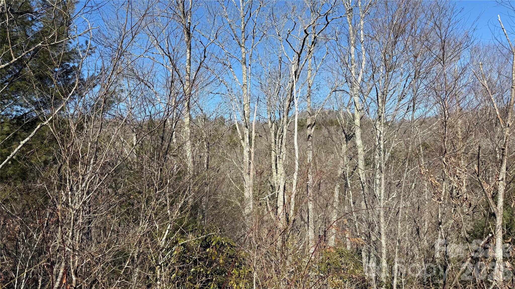 Cascades At Cedar Creek - Land