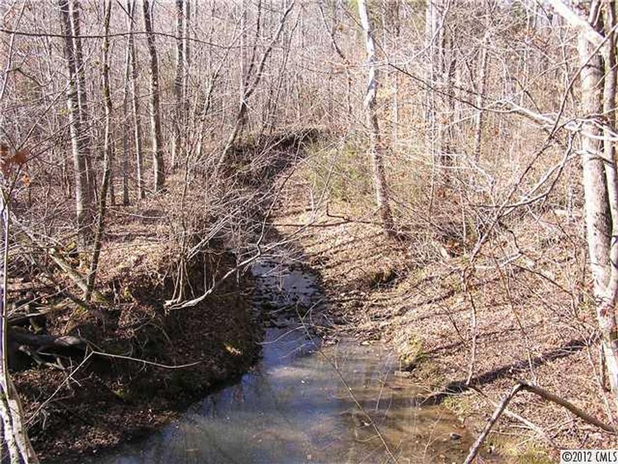 Beautiful tract of land with mature hardwoods and pines that is ideal for hunting, playground, campground or a private residence. The topo ranges from flat to rolling, with some steep ravines. The Thompson Branch creek runs through the center of the property, making it ideal for wildlife and a possible large pond-site. Several paths meander throughout the property for vehicles or ATV's.