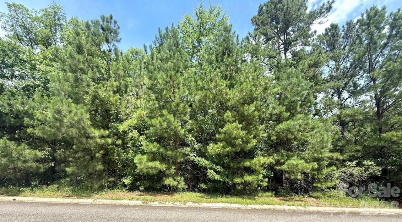 COLLEGE PLACE - Land