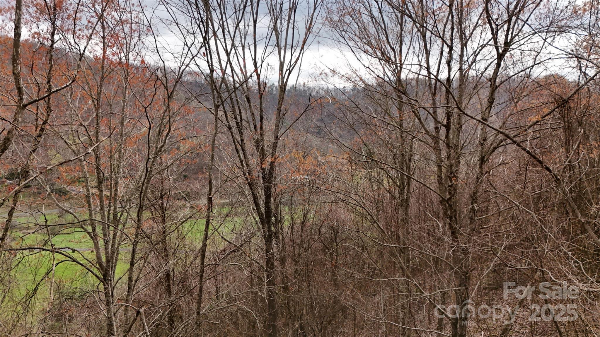 Mountain Park - Land