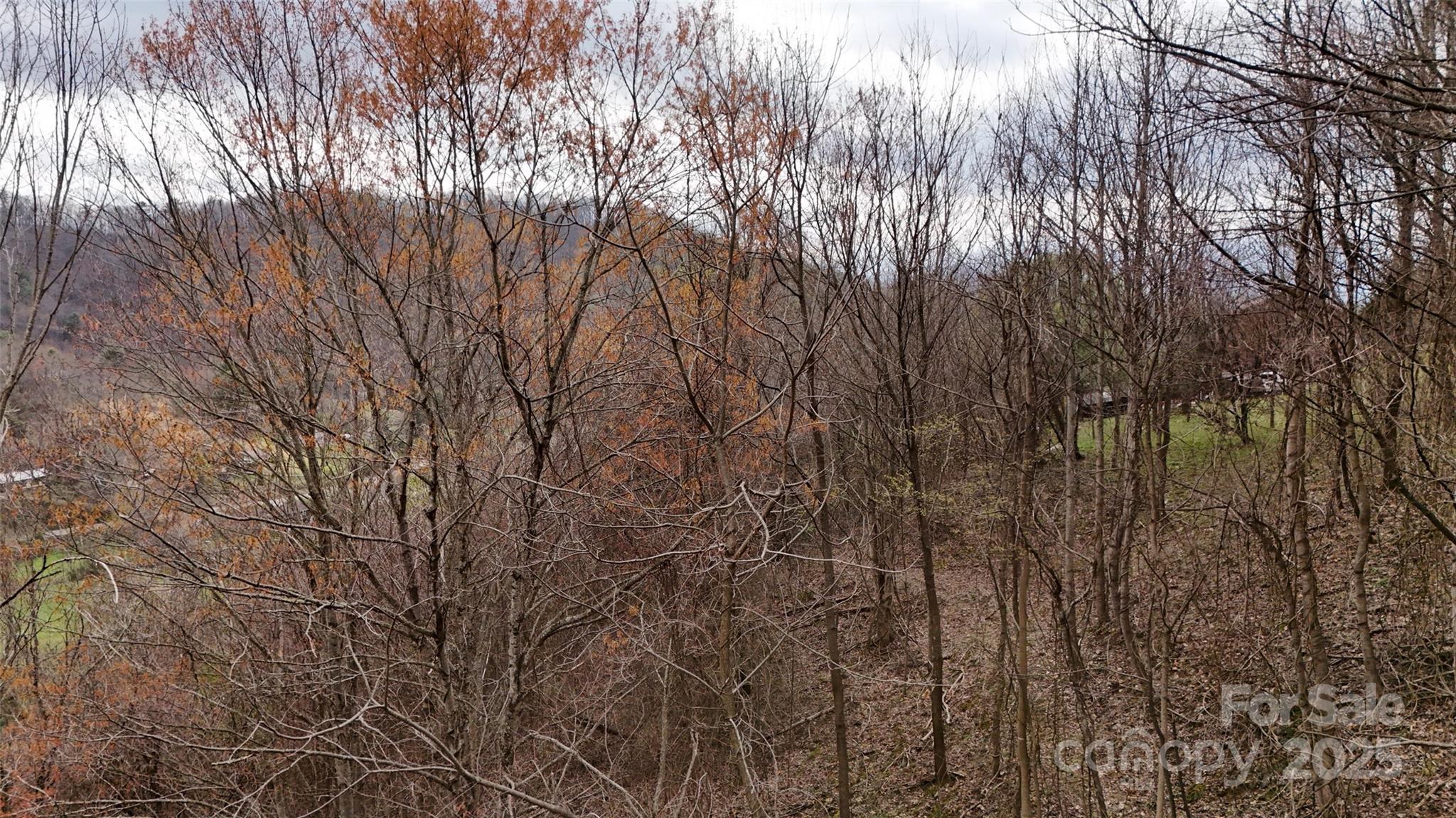 Mountain Park - Land