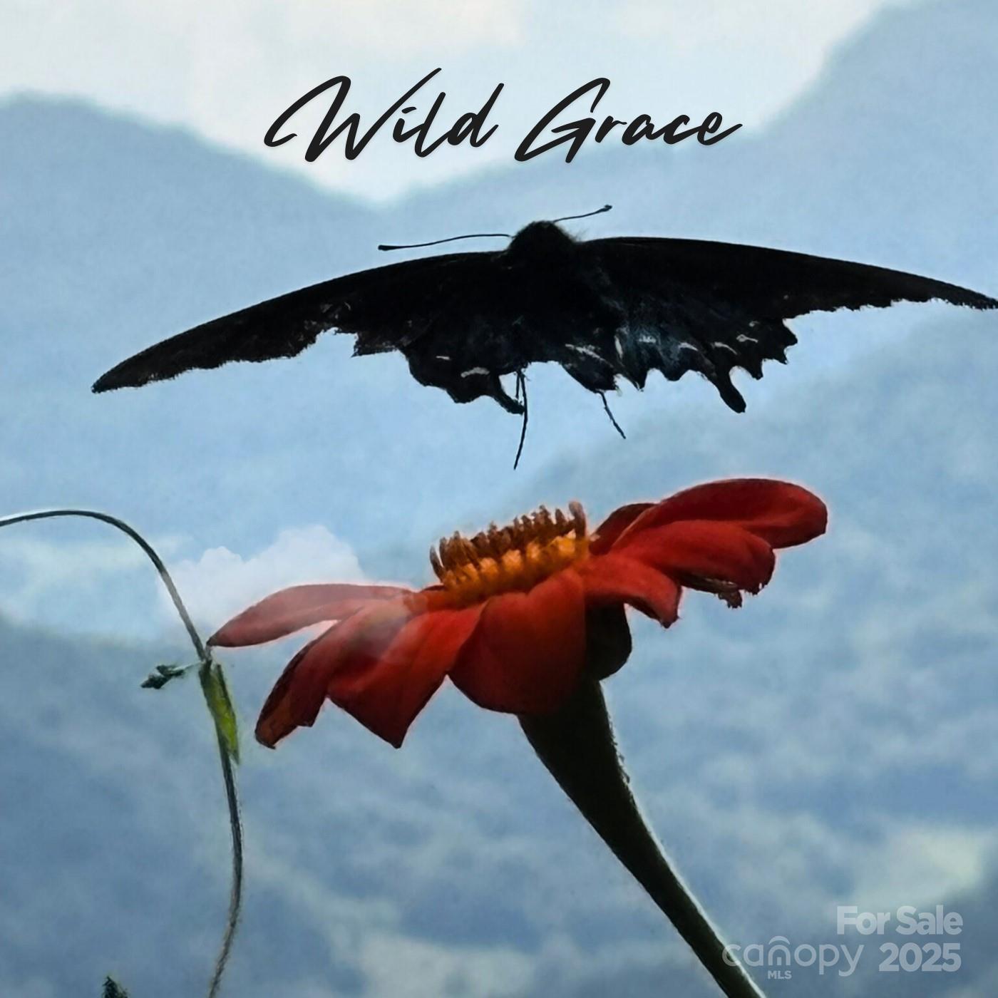 Whisper Mountain - Residential