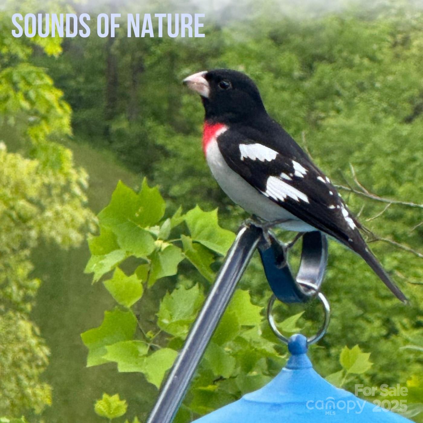 Whisper Mountain - Residential