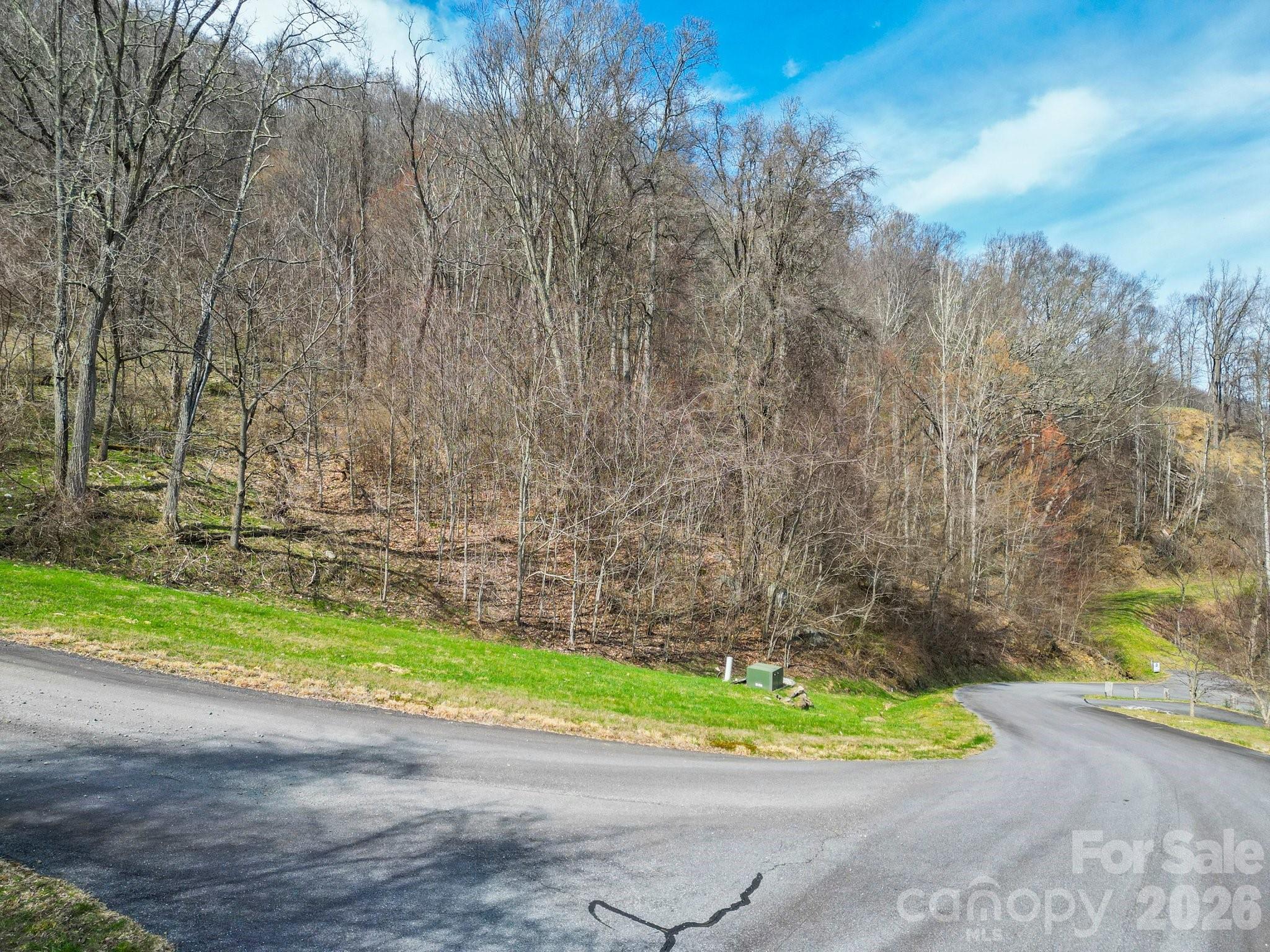 580 Freemont Dr, Leicester, NC, 28748, USA, 5 Bedrooms Bedrooms, ,5 BathroomsBathrooms,Residential,Active,580 Freemont Dr,4057787