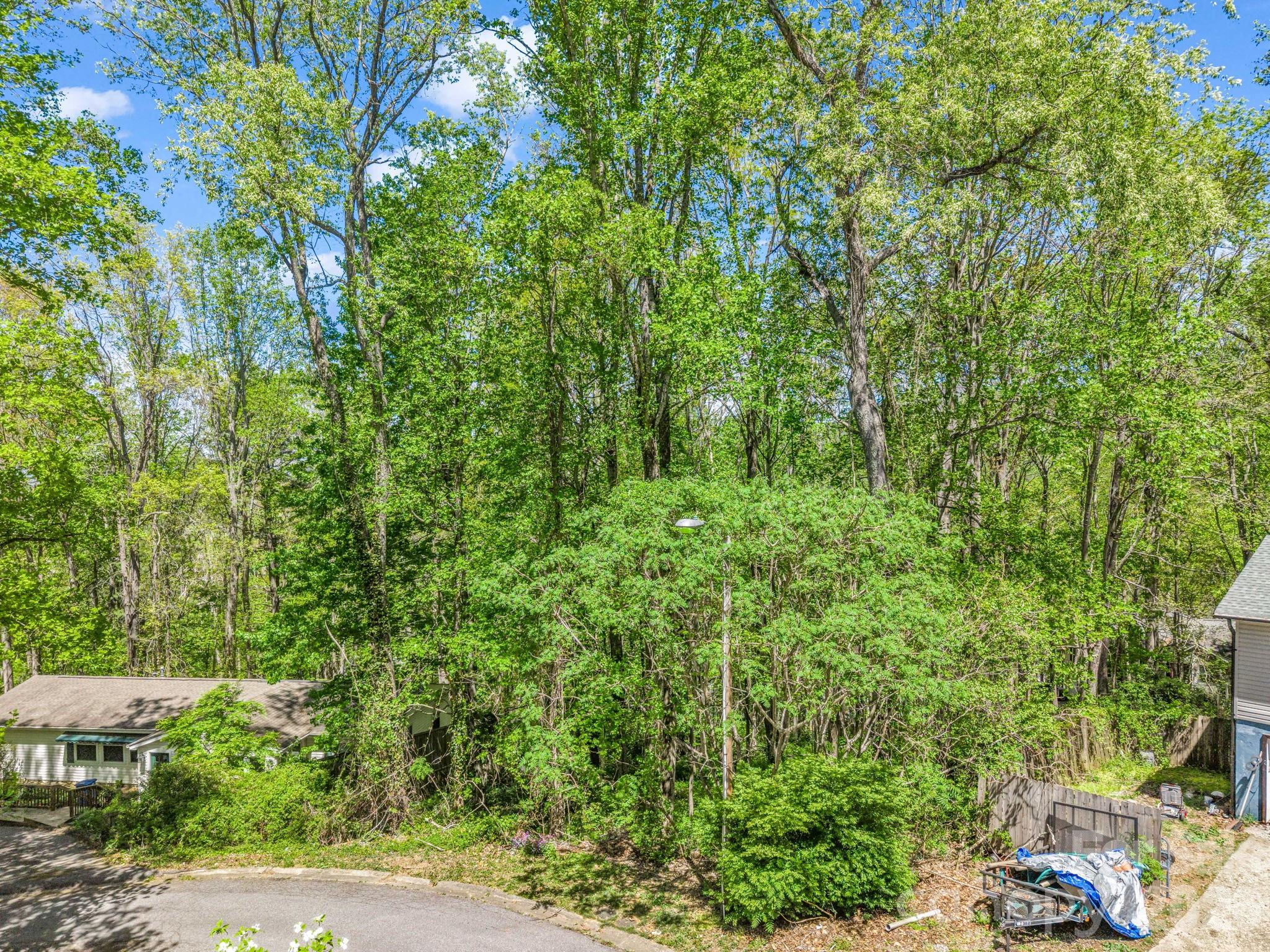 99999 Mountain Site Lane