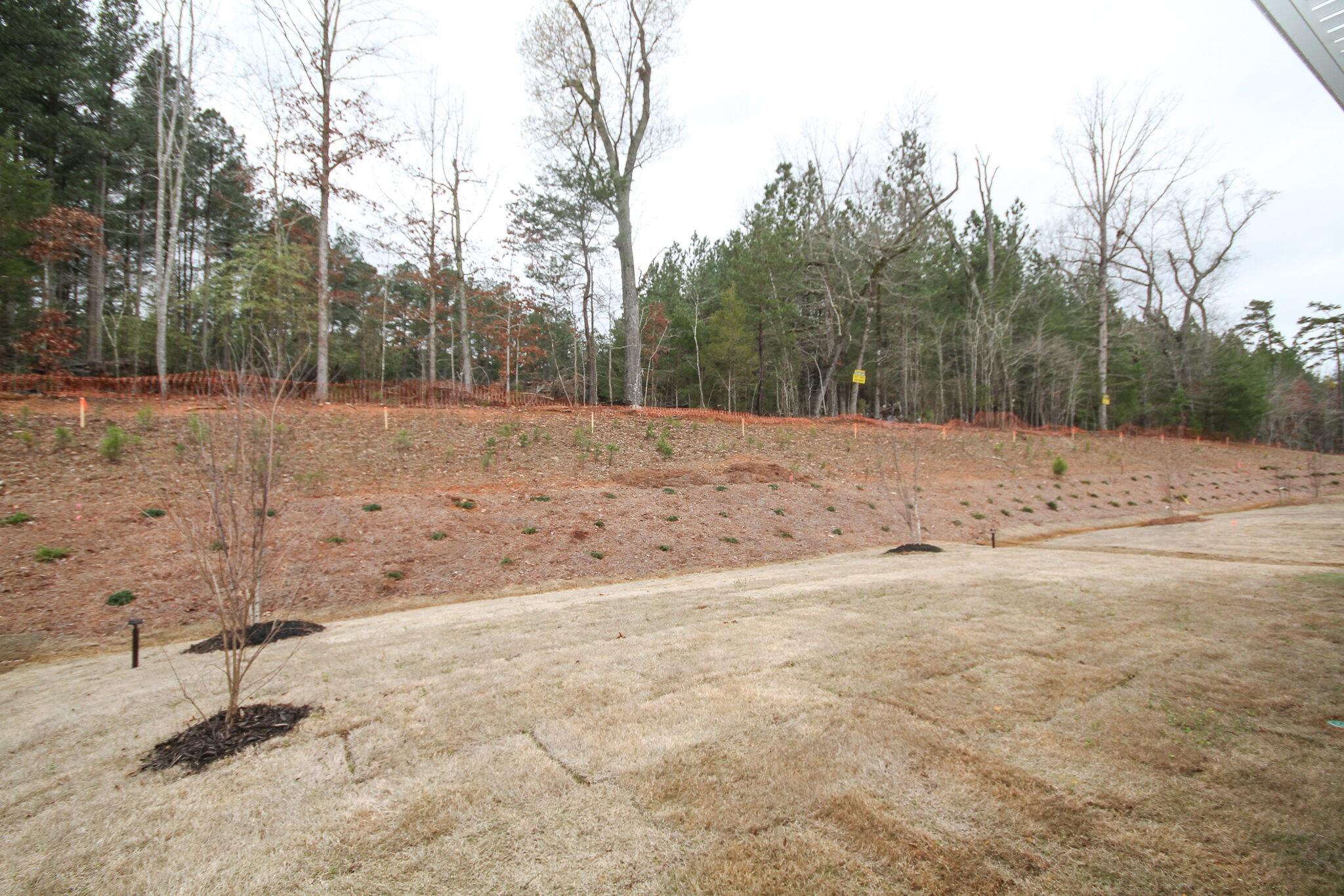 Nolen Farm - Residential