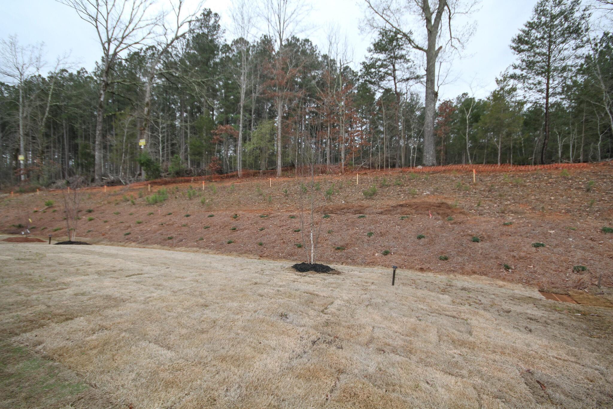 Nolen Farm - Residential