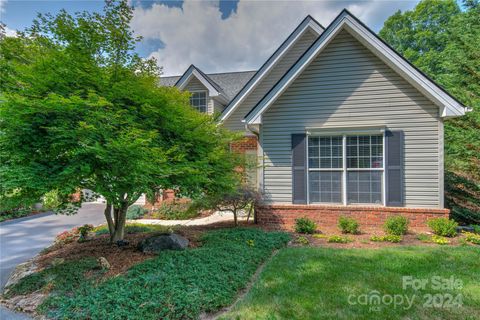 117 Hibiscus Lane Asheville NC 28803