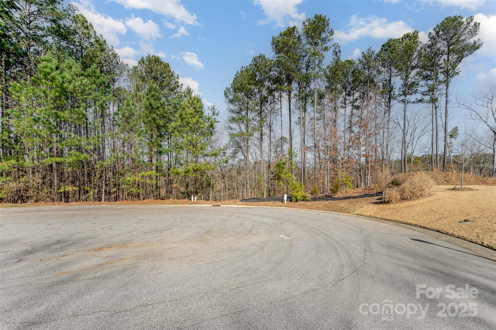 Handsmill On Lake Wylie - Land