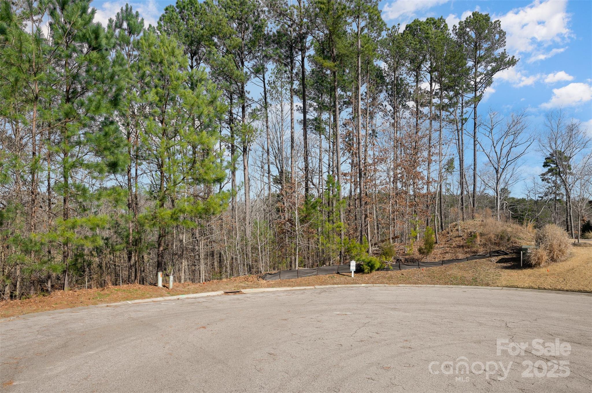 Handsmill On Lake Wylie - Land